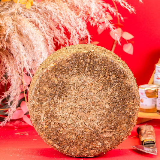 Pecorino sottto foglie di Castagno